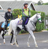 「【安田記念・坂本の特注馬】古豪健在の７歳馬ガイアフォース　得意の東京マイルなら信頼度大」の画像1