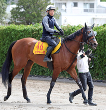【府中牝馬Ｓ】ゲート再審査クリアのミアネーロは再び芝へ　状態も林師が「今回はかなり落ち着いて穏やかです」と太鼓判