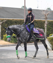 【注目馬動向】ビッグシーザーはクラスターＣでダート初挑戦　ルガルは２度目のＶかかるスプリンターズＳへ直行
