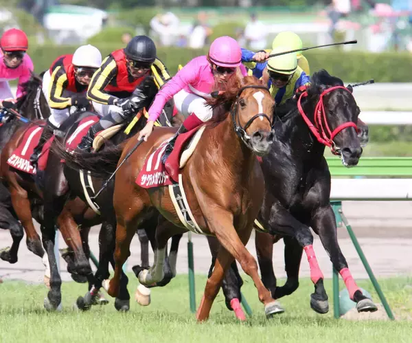 サクラメガワンダーが２３歳で死す　０９年の金鯱賞など重賞４勝　西の名門・友道厩舎の初期を支えた名優