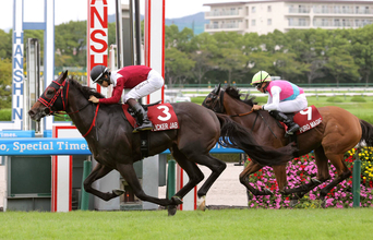 【セントウルＳ】急坂にも対応し３連勝！大一番へ向けまた死角が一つ消えた　フリッカージャブが堂々と大舞台へ
