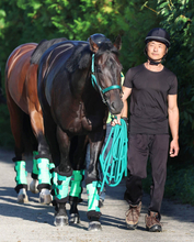【神戸新聞杯】ロブチェン始動戦に杉山晴調教師「当然、立場的に勝たなければならない」過去３冠馬は勝利してきた一戦