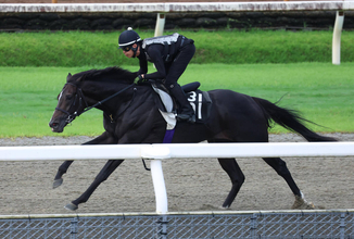 【神戸新聞杯・日曜気配】武豊騎手×５・９億円馬エムズビギンは態勢万全　友道調教師「パワーはあるので、最後に坂があるのはいいかも」
