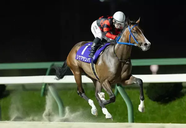 【盛岡競馬】岩手競馬に新星誕生！リケアサンバがデビュー３連勝で若駒賞制覇　山本聡哉騎手「見た目以上にスピードがある」