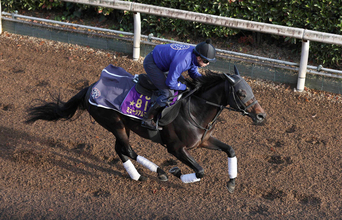 【有馬記念２週前】「もっと良くなっている感じ」高柳大調教師がミュージアムマイルに手応え　天皇賞・秋は２着