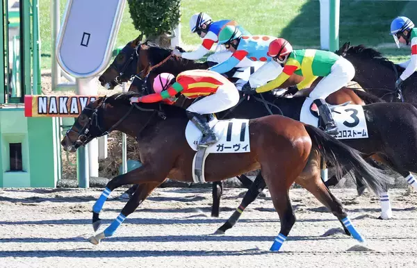 【中山４Ｒ・３歳新馬】３連単は２３万円超！６番人気ガーヴィが直線一気で大波乱演出　舟山瑠泉騎手「良く伸びてくれました」