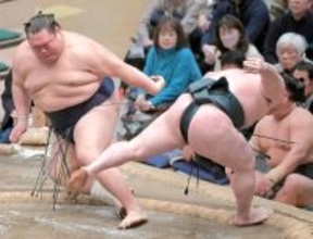 気分転換に締め込みを変えても友風が９敗目　「残り２日、頑張るだけです」