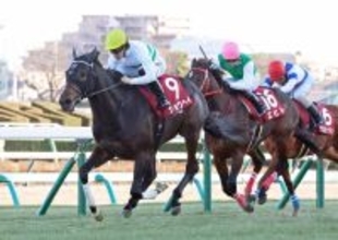 上位はベテラン勢ばかり！「買えんて」「年寄りと侮って…」アメリカＪＣＣ３着激走のエヒトにＳＮＳ仰天