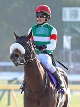 【注目馬動向】フェブラリーＳ９着のシックスペンスは定年で解散となる国枝厩舎から田中博厩舎に転厩へ