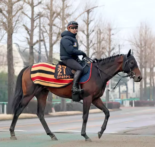 【報知杯弥生賞】東の大将格として臨むパントルナイーフ勝って本番へ　陣営は将来性にも期待「本当に良くなるのは…」