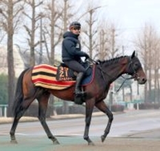 【報知杯弥生賞】東の大将格として臨むパントルナイーフ勝って本番へ　陣営は将来性にも期待「本当に良くなるのは…」