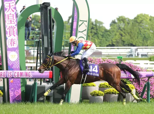 ２０２４年天皇賞・春など重賞４勝のテーオーロイヤルが競走馬登録抹消　イーストスタッドで種牡馬入りへ