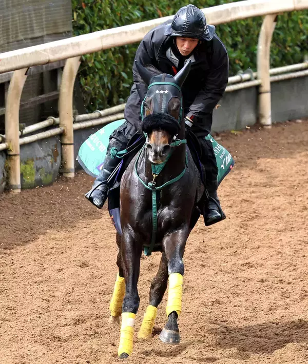 【注目馬動向】大阪杯５着のセイウンハーデスは安田記念へ　鞍上は引き続き幸英明騎手