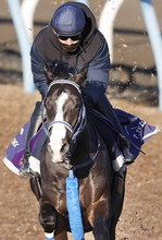 【香港チャンピオンズデー】マスカレードボール、サトノレーヴ、ジャンタルマンタルなど日本馬７頭が選出