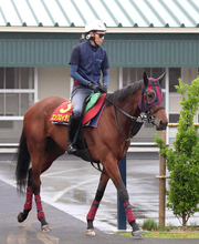 【ヴィクトリアＭ】ルメール騎手のエンブロイダリーが単勝２・０倍で堂々の１番人気　カムニャックが５・２倍で続く　前日最終オッズ