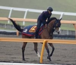【ヴィクトリアＭ】２４年２冠牝馬チェルヴィニアは１６着大敗　レーン騎手はＮＨＫマイルＣに続くＧ１連勝ならず