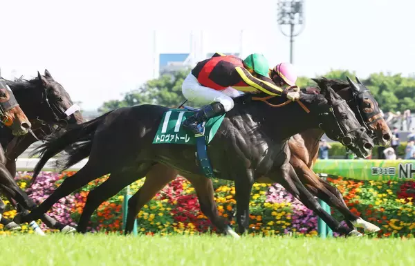 【安田記念・超ブル診断ステップレース編】切れ味＆勝負強さに磨きがかかってきた重賞連勝馬が「Ｇ」評価