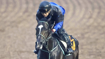【神戸新聞杯・金曜気配】初距離、初関西遠征のゴーラッキーは坂路で調整　黒岩陽一調教師「面白いと思っています」