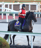 【ターコイズＳ】トップハンデタイのドロップオブライトが混戦断つ　「いい形で決められた」松若風馬騎手はＪＲＡ通算５００勝