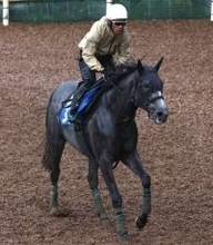 土曜京都競馬場の注目激走馬…京都１１Ｒすばるステークス（Ｌ）