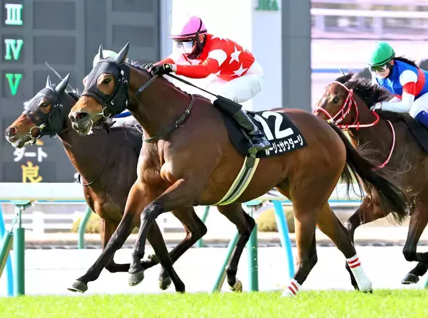 【注目馬動向・３歳】萌黄賞で２勝目のルージュサウダージは報知杯ＦＲで連勝狙う