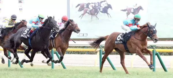 「ユリカモメールと...」「怪物だと思ってた」７頭立てレースで１番人気馬２着にネット悲喜こもごも　アローメタル