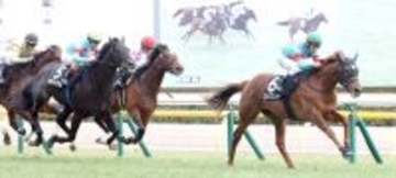 「ユリカモメールと...」「怪物だと思ってた」７頭立てレースで１番人気馬２着にネット悲喜こもごも　アローメタル