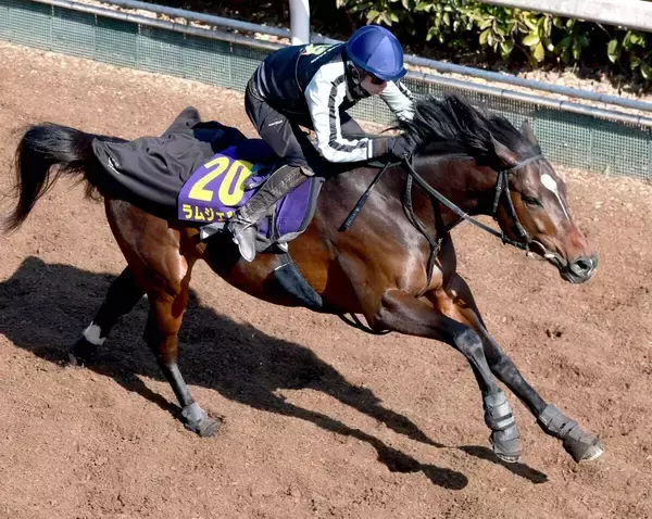 【フェブラリーＳ・特選有力馬チェック】佐々木調教師がラストＧ１に送り込むラムジェットは買うべき？