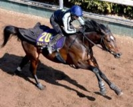 【フェブラリーＳ・特選有力馬チェック】佐々木調教師がラストＧ１に送り込むラムジェットは買うべき？