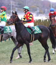 【注目馬動向・３歳】きさらぎ賞４着のコレオシークエンスは皐月賞トライアルの若葉Ｓへ