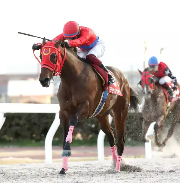 【笠松・ジュニアグローリー】マッチレース制した　ミモザノキセツが重賞３勝目　加藤聡一騎手「苦しい展開でした」