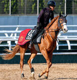 「【ファルコンＳ】福永厩舎が土日重賞ジャックへ　ダイヤモンドノットは得意の７ハロン戦　福永調教師「戻るのはいい」」の画像1