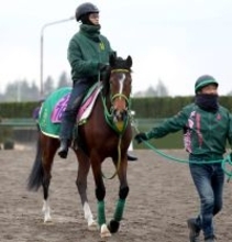 【チャーチルダウンズＣ】紅一点のファンクションが牡馬に挑む　桜切符逃した前走に収穫あり