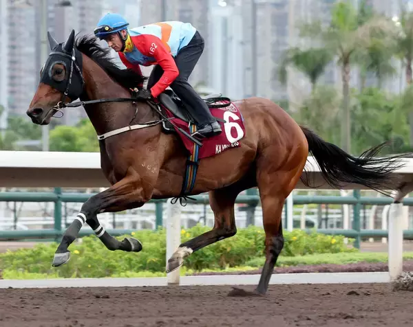 【チェアマンズＳＰ】圧巻のコースレコード！カーインライジングＶで２０連勝　連覇でＧ１は９勝目　獲得賞金は３０億円を突破