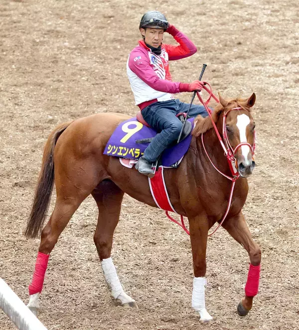 【天皇賞・春】シンエンペラーは米国遠征回避も乗り込み進んで好気配　陣営「この馬には良かった」