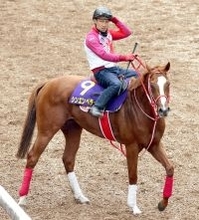 【天皇賞・春】シンエンペラーは米国遠征回避も乗り込み進んで好気配　陣営「この馬には良かった」