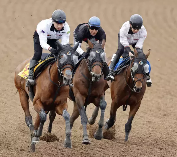 【宝塚記念・１週前】ミクニインスパイア充実一途　丹内祐次騎手「前走の時よりも感じはいい」