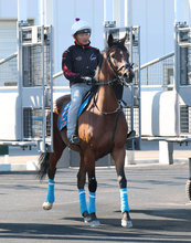 【函館記念・土曜気配】オニャンコポンはたまったパワーをレースで全開に　陣営「ファンも多いから頑張ってほしい」