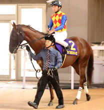 【注目馬動向・古馬】日本テレビ盃２着のテーオーマルコーニは浦和記念が目標　ドンインザムードは武蔵野Ｓで復帰