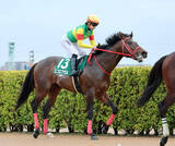 「【カペラＳ】６番人気の３歳馬エコロアゼルは３着　森秀行調教師「結果的に速いペースに巻き込まれてしまった」」の画像1