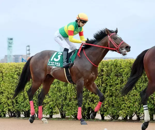 【カペラＳ】６番人気の３歳馬エコロアゼルは３着　森秀行調教師「結果的に速いペースに巻き込まれてしまった」