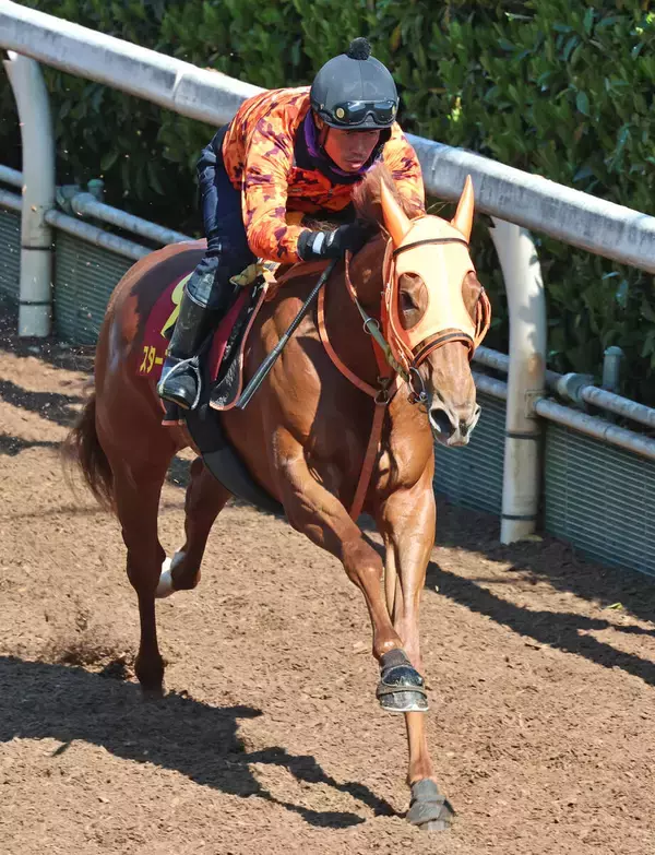 【桜花賞】２歳女王は直行ローテにも不安は一切なし　高野調教師「スターアニスには勝負のレースです」