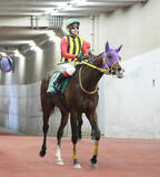 「【注目馬動向】新潟大賞典で１２番人気２着のバレエマスターはジューンＳ視野　セキトバイーストは連覇かかる府中牝馬Ｓへ」の画像1