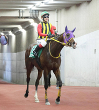【注目馬動向】新潟大賞典で１２番人気２着のバレエマスターはジューンＳ視野　セキトバイーストは連覇かかる府中牝馬Ｓへ