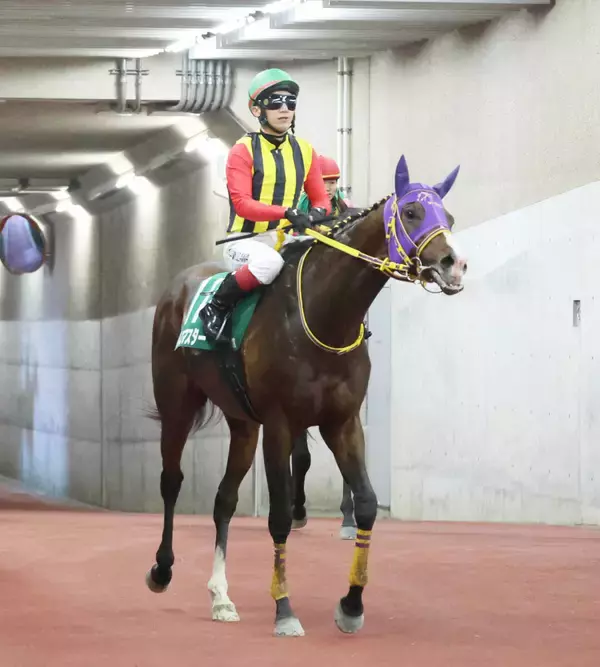 【注目馬動向】新潟大賞典で１２番人気２着のバレエマスターはジューンＳ視野　セキトバイーストは連覇かかる府中牝馬Ｓへ
