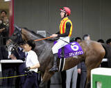 「【安田記念】２４年桜花賞馬の復活は遠く…レーン騎手「全体的に忙しいレースに」ステレンボッシュは１０着　」の画像1