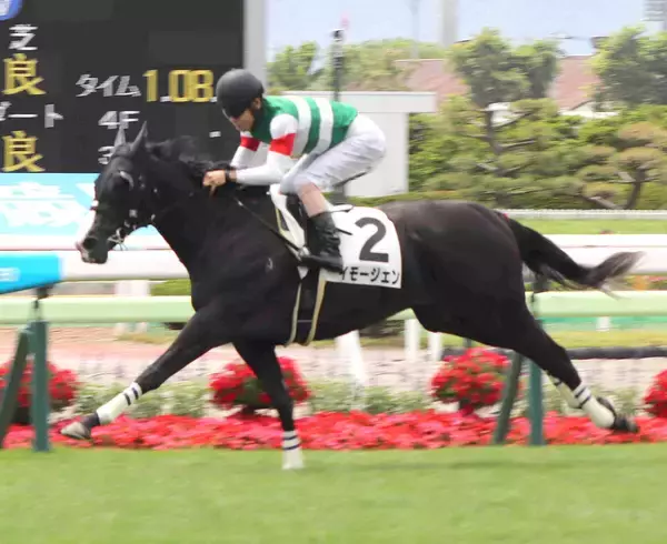 【函館５Ｒ・２歳新馬】イモージェン快勝　新種牡馬サリオス産駒が初勝利　ブリンカー進言の北村友一騎手「余力あった」