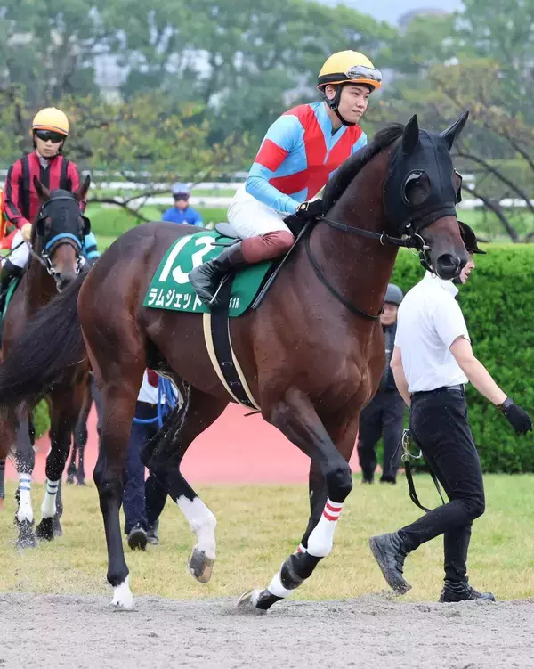 【シリウスＳ】三浦皇成騎手「久しぶりに動ける状態」で好位追走もラムジェットは７着に沈む　２年３か月ぶりの白星ならず