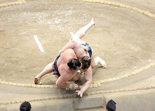 【元大関・琴風の目】最後まで頭を上げなかった安青錦の勝因、勝ち急いだ大の里の敗因…千秋楽決戦は土俵際がポイントだ