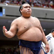 殊勲賞は条件付きで高安　敢闘賞は無条件で藤ノ川、条件付きで美ノ海、朝乃山、寿乃富士